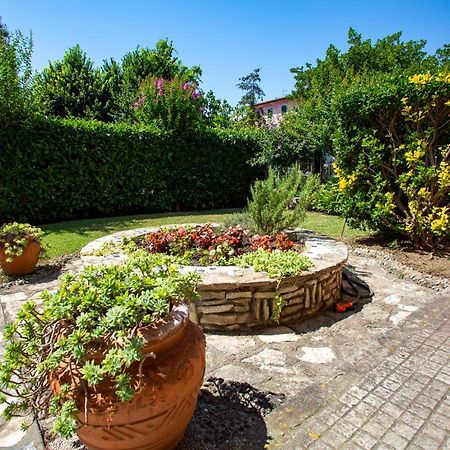 Ai 4 Elementi Bed & Breakfast Pisa Luaran gambar